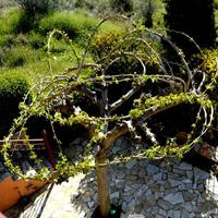 Вилла в Греции, Аттика, Афины, 240 кв.м.