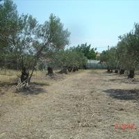 Other in Greece, Central Macedonia, Center, 168 sq.m.