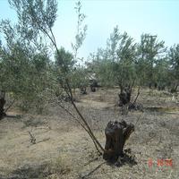 Other in Greece, Central Macedonia, Center, 168 sq.m.