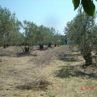 Other in Greece, Central Macedonia, Center, 168 sq.m.