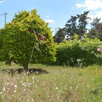 Другое в Греции, Аттика, Афины, 145 кв.м.