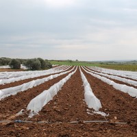 Земельный участок в Греции, Центральная Македония, Центр