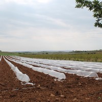 Земельный участок в Греции, Центральная Македония, Центр