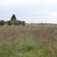 Земельный участок в Греции, Центральная Македония, Центр