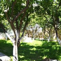 Другое в Греции, Центральная Греция, Vo, 90 кв.м.