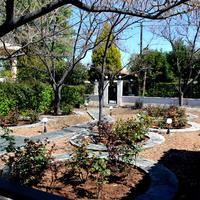 Other in Greece, Central Greece, Vo, 62 sq.m.