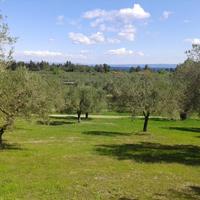 Земельный участок в Греции, Центральная Македония, Центр