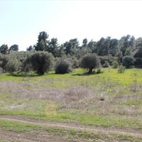 Земельный участок в Греции, Центральная Македония, Центр