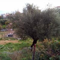 Земельный участок в Греции, Пелопоннес