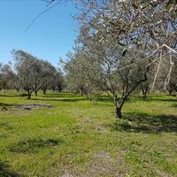 Земельный участок в Греции, Центральная Македония, Центр