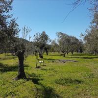 Земельный участок в Греции, Центральная Македония, Центр