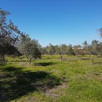 Земельный участок в Греции, Центральная Македония, Центр