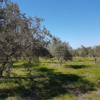 Земельный участок в Греции, Центральная Македония, Центр