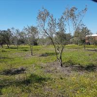 Земельный участок в Греции, Центральная Македония, Центр