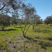 Земельный участок в Греции, Центральная Македония, Центр