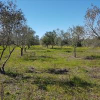 Земельный участок в Греции, Центральная Македония, Центр