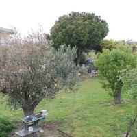 Квартира в Греции, Центральная Македония, Центр, 50 кв.м.