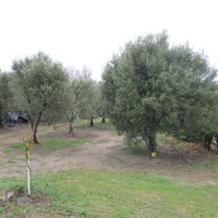 Квартира в Греции, Центральная Македония, Центр, 50 кв.м.