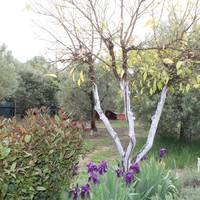 Квартира в Греции, Центральная Македония, Центр, 50 кв.м.