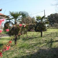 Другое в Греции, Центральная Македония, Центр, 220 кв.м.