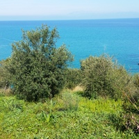 Land plot in Greece, Ionian Islands, 4010 sq.m.