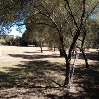 Другое в Греции, Центральная Македония, Центр, 450 кв.м.