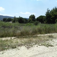 Другое в Греции, Центральная Македония, Центр, 450 кв.м.