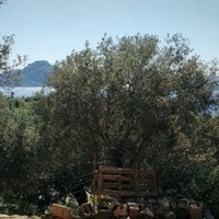 Land plot in Greece, Crete