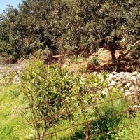 Land plot in Greece, Crete