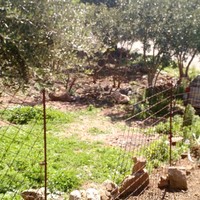 Land plot in Greece, Crete