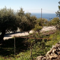 Land plot in Greece, Crete