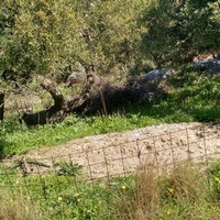 Land plot in Greece, Crete