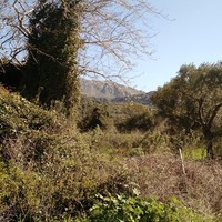 Land plot in Greece, Crete