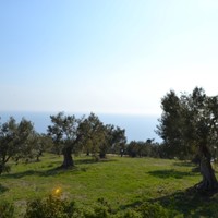 Land plot in Greece, Central Macedonia, Center