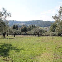 Land plot in Greece, Central Macedonia, Center