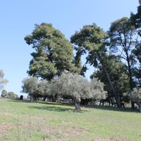 Land plot in Greece, Central Macedonia, Center