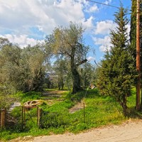 Земельный участок в Греции, Ионические острова, 1395 кв.м.