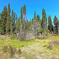 Земельный участок в Греции, Ионические острова, 4800 кв.м.