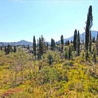 Земельный участок в Греции, Ионические острова, 4800 кв.м.