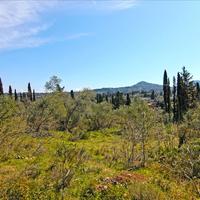 Земельный участок в Греции, Ионические острова, 4800 кв.м.