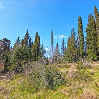 Земельный участок в Греции, Ионические острова, 4800 кв.м.