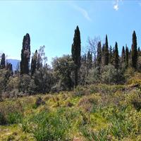 Земельный участок в Греции, Ионические острова, 4800 кв.м.