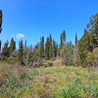 Земельный участок в Греции, Ионические острова, 4800 кв.м.