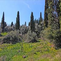 Земельный участок в Греции, Ионические острова, 4800 кв.м.