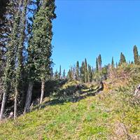 Земельный участок в Греции, Ионические острова, 4800 кв.м.