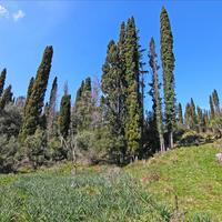 Земельный участок в Греции, Ионические острова, 4800 кв.м.