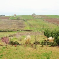 Other in Greece, Central Macedonia, Center, 580 sq.m.