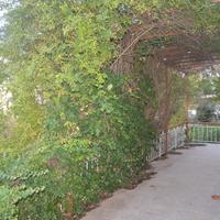 Другое в Греции, Аттика, Афины, 200 кв.м.