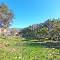 Land plot in Greece, Ionian Islands, 4262 sq.m.