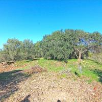 Land plot in Greece, Ionian Islands, 4262 sq.m.